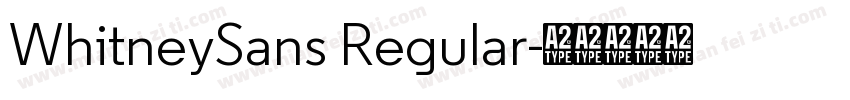 WhitneySans Regular字体转换
